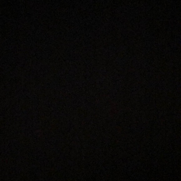 Meet your Posher, Bailey - Picture 1 of 1